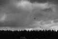 2021_10_13 (0062)